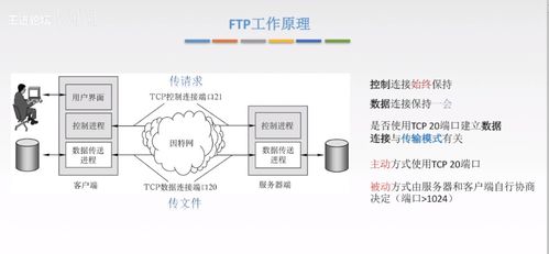 計算機網絡應用層核心技術 從C/S到P2P，從DNS到HTTP