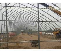 高效耐用的鋼架大棚建設方案 優質產品信息與實施指南