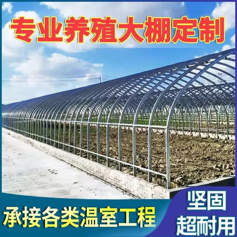 現代化農業鋼架大棚 熱鍍鋅鋼管結構的優勢與定制方案