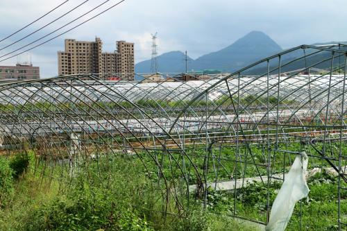 鋼架大棚多少錢一畝與春秋溫室大棚造價全面測算